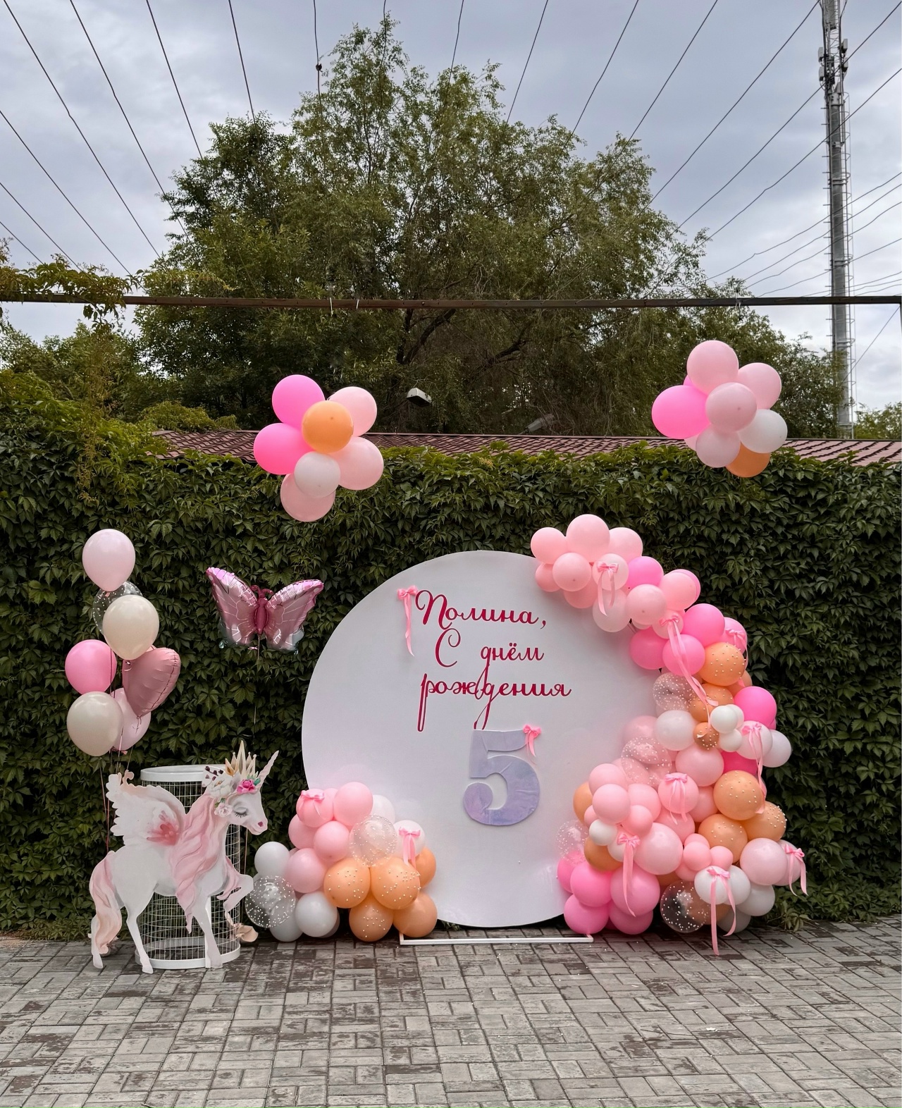 Фотозона 6501 Фотозона 6501